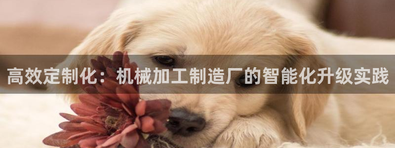 乐发彩票平台网址是什么