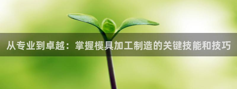 乐发彩票平台后方