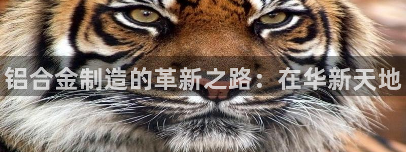 乐发彩票平台可信不