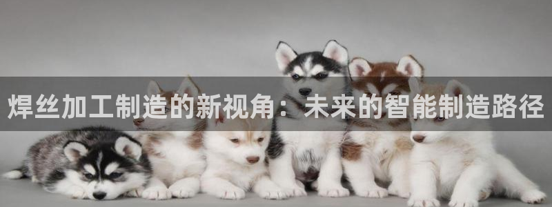 乐发体育平台官网登录