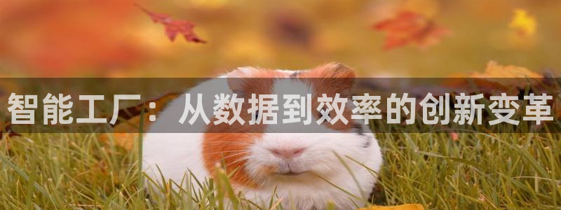 乐发vll平台靠谱嘛