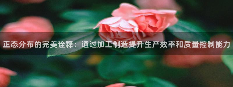 发乐发彩票平台注册码