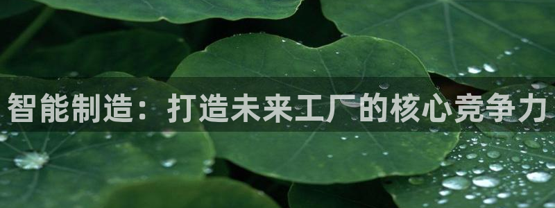 类似乐虎优发老虎机平台