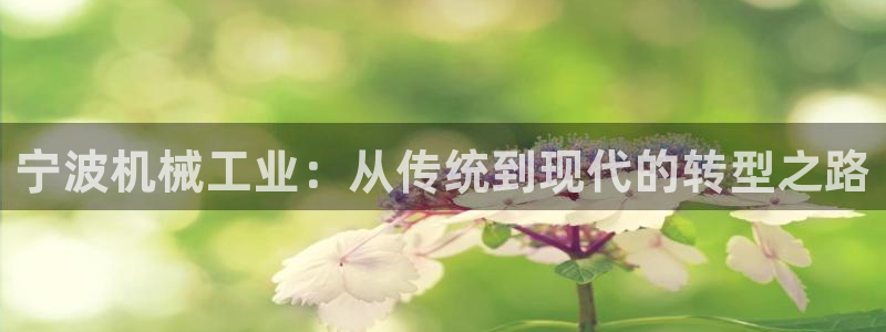 乐发国际是不是黑平台