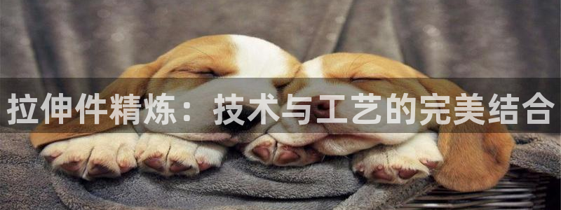 快3平台 官网下载乐发