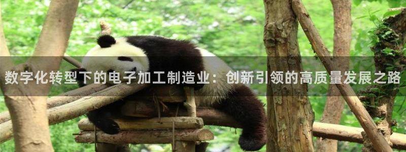 乐信短信平台文案怎么发