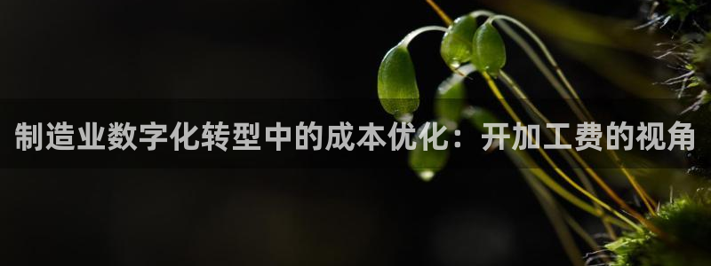 乐发彩票官网登录平台