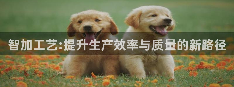 众乐一分大发彩票平台