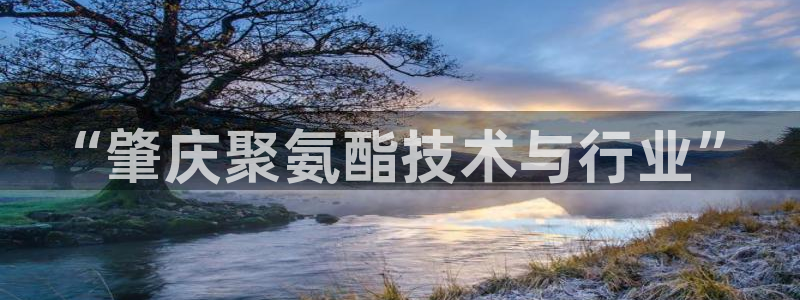 乐发彩票vll平台